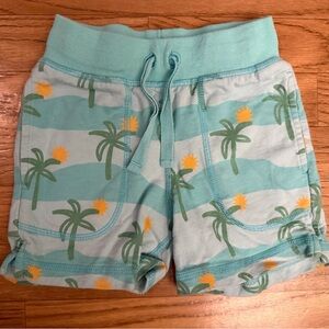 EUC 3T Boys Hanna Andersson Palm Tree Paradise Aqua Tidepool French Terry Shorts